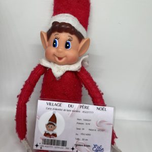 La carte d'identité du Lutin