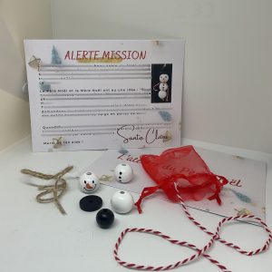 Mission « Bonhomme de neige »